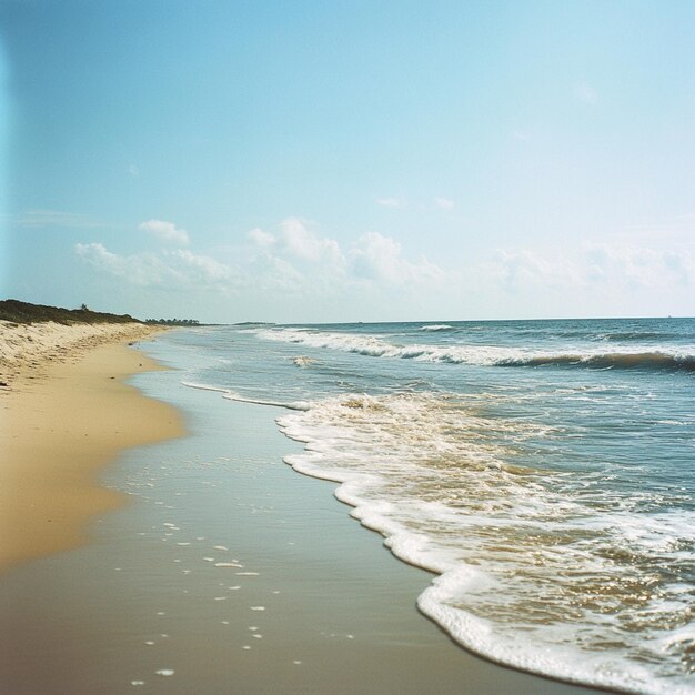 Photo a beach with a beach and a bird flying in the sky