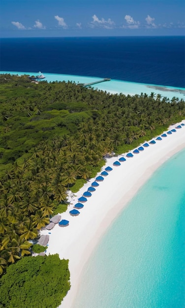 a beach with blue water and palm trees on the side