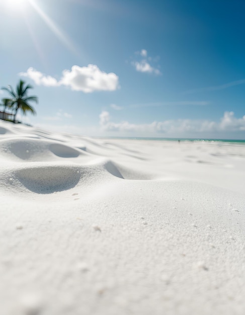 Photo a beach with a palm tree and a foot print of a foot print in the sand