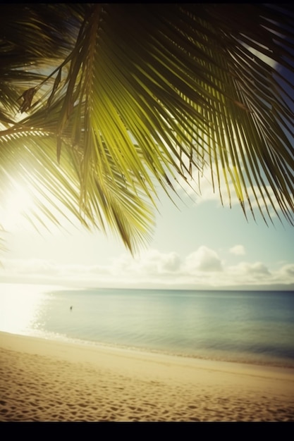 A beach with a palm tree and a person on the sand