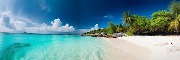 A beach with palm trees and a blue sky