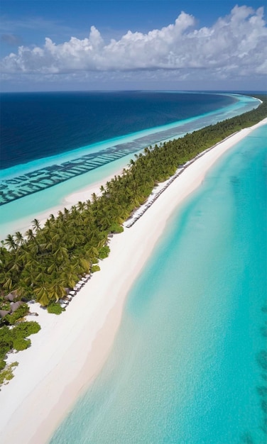 a beach with palm trees and a sign that says quot island quot