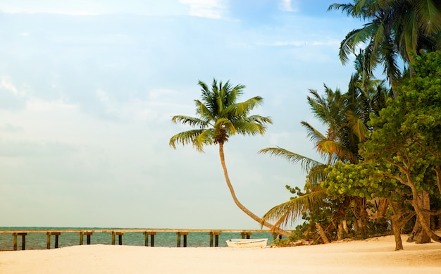 Beach with pier and palm trees on the Atlantic coast