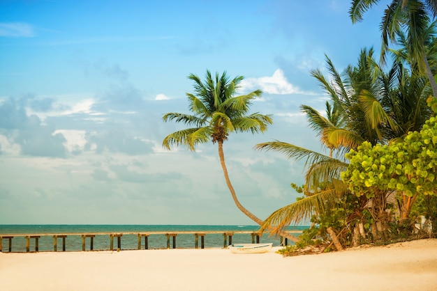 Beach with pier and palm trees on the Atlantic coast.