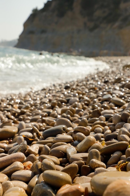 A beach with rocks and seagulls on the beach