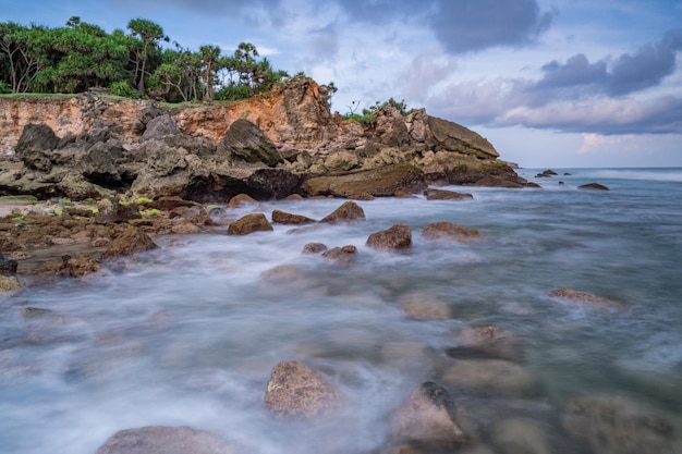 A beach with rocks and trees and the ocean in the background