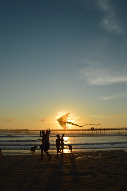 Beach with sea and pier and people