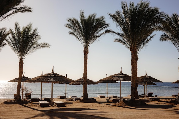 A beach with umbrellas and umbrellas on it