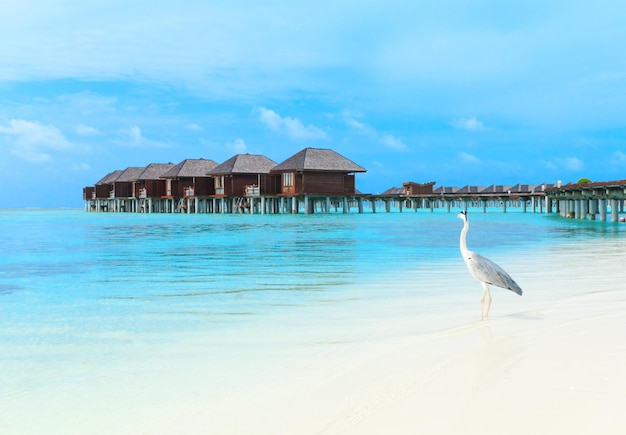 Beach with water bungalows Maldives