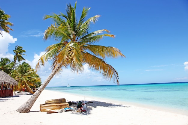 Beach with white sand, sun and quiet ocean. Tropical banner.