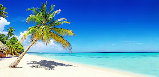 Beach with white sand sun and quiet ocean Tropical banner