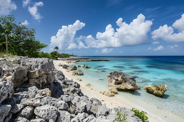 Beaches and reefs in summer