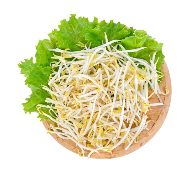 Bean sprouts isolated on white background