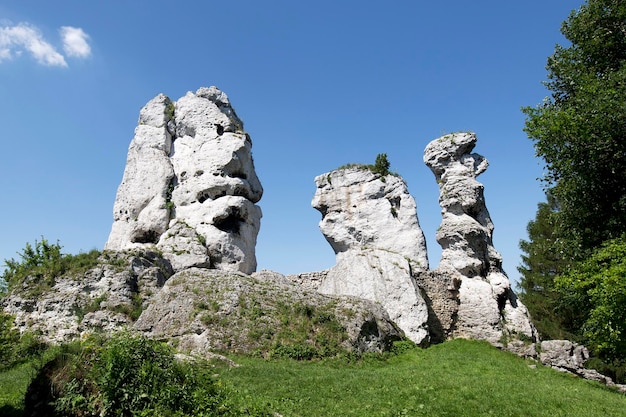 Bear Sphinx and Lalka rocks near the castle in Ogrodzieniec