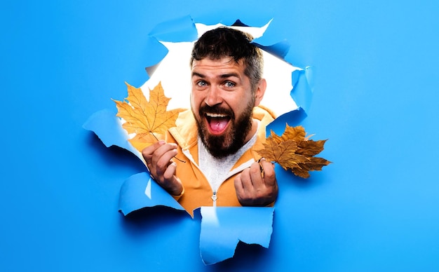 Bearded man with maple leaves looking through paper hole autumn sales discount autumnal mood