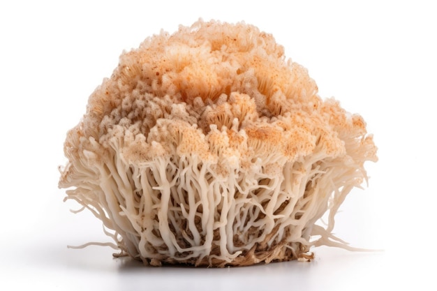 Bearded Tooth Mushroom Hericium Coralloides On A White Background Generative AI