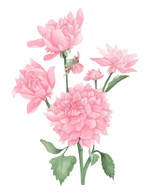 Beatiful pink bouquet flowers watercolor