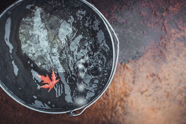 A beatiful red maple leaf floats in a tin bucket on the water surface, on which rain drops fall.  Top view, copy space.  