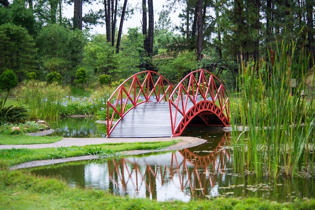 A beatiful view of Botanical Garden located in Brasilia Brazil