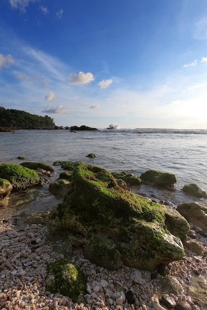 Beautiful afternoon scenery at Wediombo Beach Wediombo Beach located in Gunung Kidul Yogyakarta Indonesia