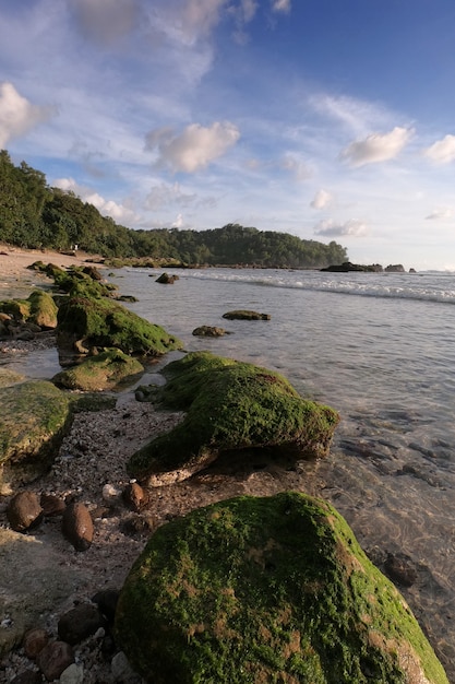 Beautiful afternoon scenery at Wediombo Beach Wediombo Beach located in Gunung Kidul Yogyakarta Indonesia