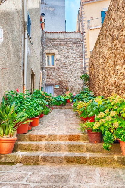 The beautiful alley of castelsardo old city