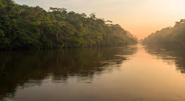 Photo beautiful amazon river in a beautiful sunrise