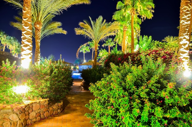 Beautiful Arabian night in a hotel of Egypt Sharm elSheikh