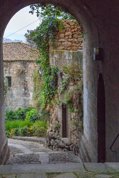 Beautiful arch in medieval french backyard Vintage architecture with arch and flowers