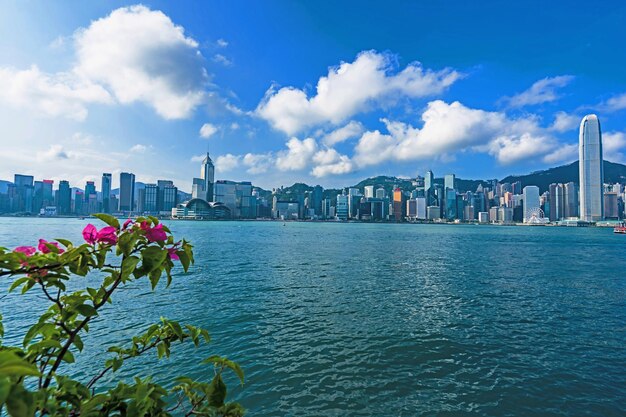 Photo beautiful architecture building exterior cityscape of hong kong city skyline