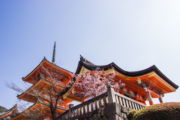 Beautiful architecture inside Kiyomizu-dera temple during cherry