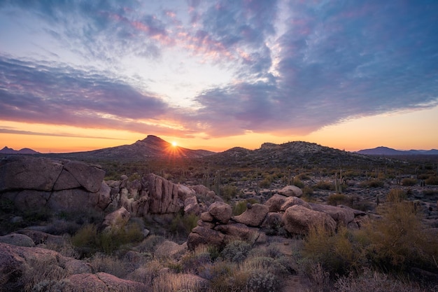 Photo beautiful arizona sunset over browns mountain im the mcdowell sonoran preserve