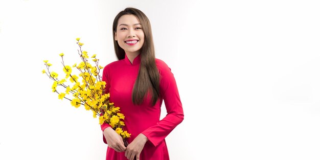 Beautiful asian woman in red dress Vietnamese style hold Hoa Mai tree Ochna Integerrima flower in arm in lunar New year