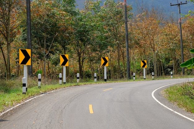 Beautiful asphalt road sharp curve in middle forest country side.