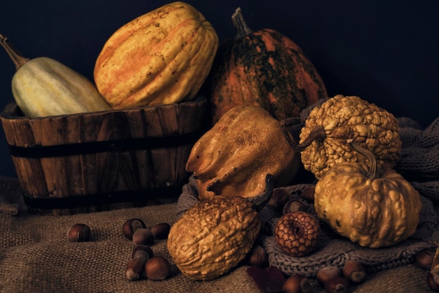 Beautiful autumn composition with pumpkins in cozy style