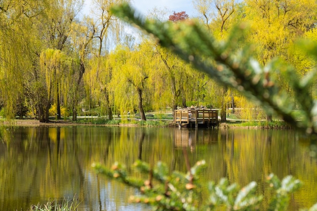 Beautiful autumn lake and forest Season Abstract natural background Blurry silhouettes of many green fall trees leaves reflect on peaceful surface of river lake or puddle water pond Selective focus