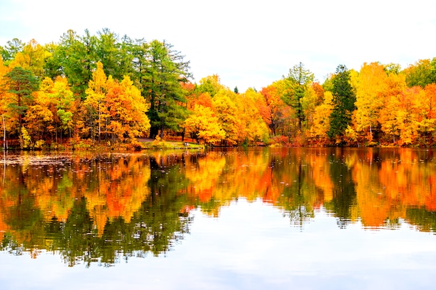 Beautiful autumn landscape. Reflection of the autumn forest in the lake.