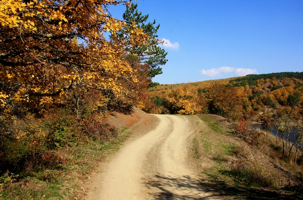 Beautiful autumn landscape in sunny day.