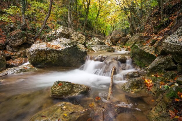 Beautiful autumn landscape with mountain river and colorful trees with green, red, yellow and orange leaves. Mountain forest in Crimea.