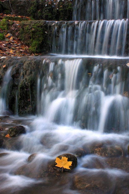 Photo beautiful autumn landscape with a waterfall in the autumn forest