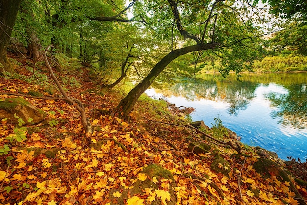 Beautiful autumn landscape