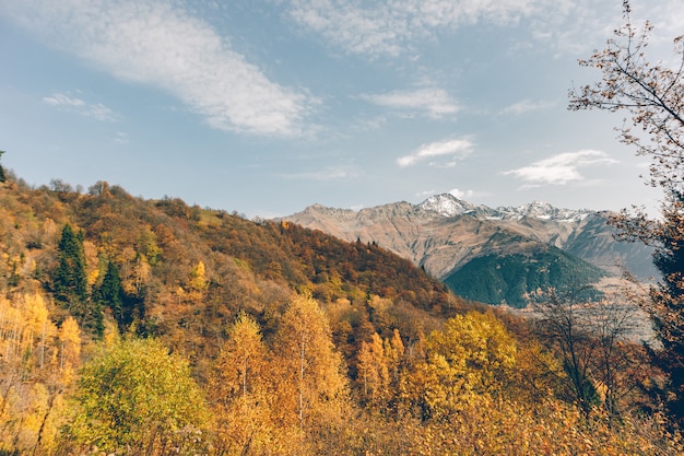 Beautiful autumn mountain landscape photo with yellow and orange color in fall season.