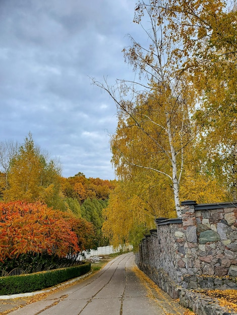 Beautiful autumn in the park yellow green orange foliage autumn sky road