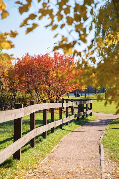 Beautiful autumn park.