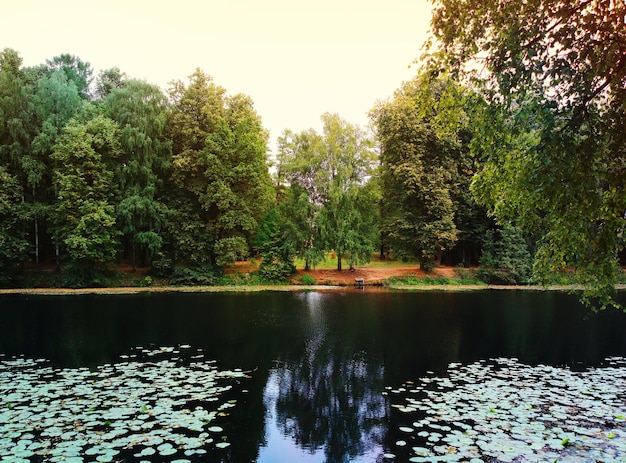 Beautiful autumn pond in city park landscape backdrop