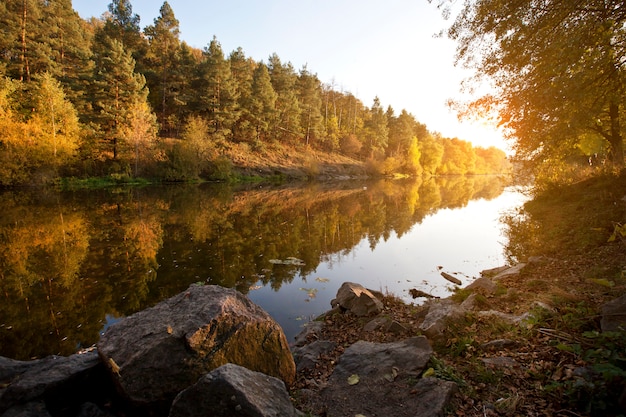 Beautiful autumn on the riverside near the forest