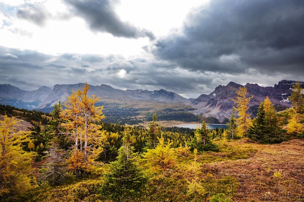 Beautiful autumn season in Canadian mountains. Fall background.