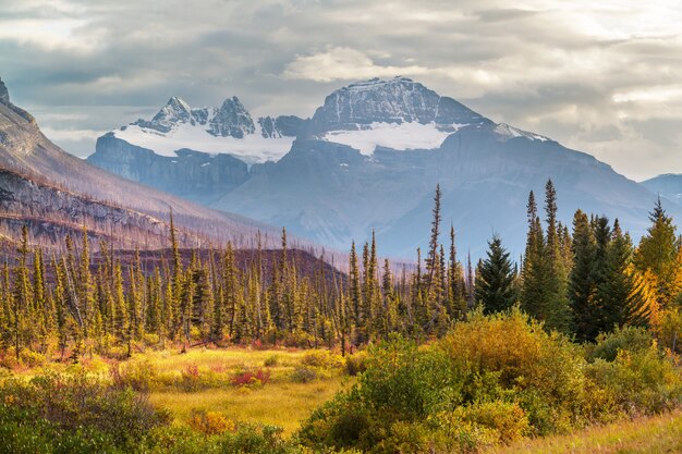 Beautiful autumn season in Canadian mountains. Fall background.