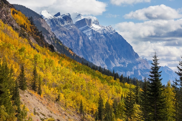 Beautiful autumn season in Canadian mountains. Fall background.