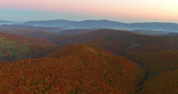 Beautiful autumn on sunrise morning on the view above forest valley